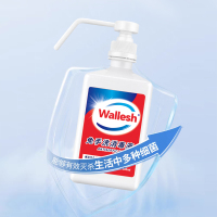 威立世Wallesh 免洗手多效消毒液500ml