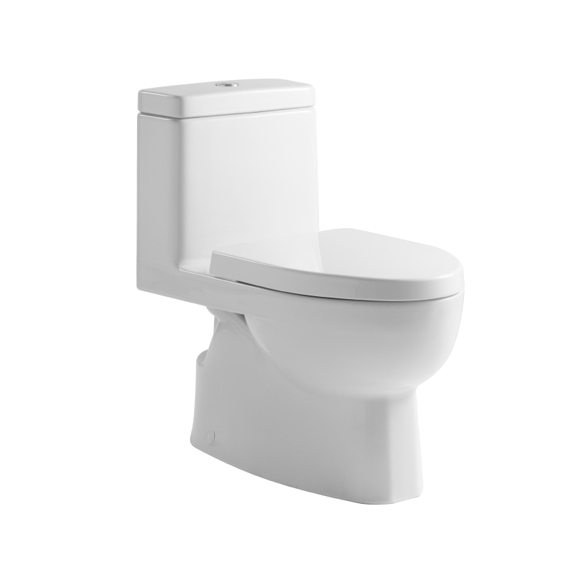科勒(KOHLER)马桶 瑞雅五级旋风全包连体座便器 坐便器 节水型 K-19111/19112T
