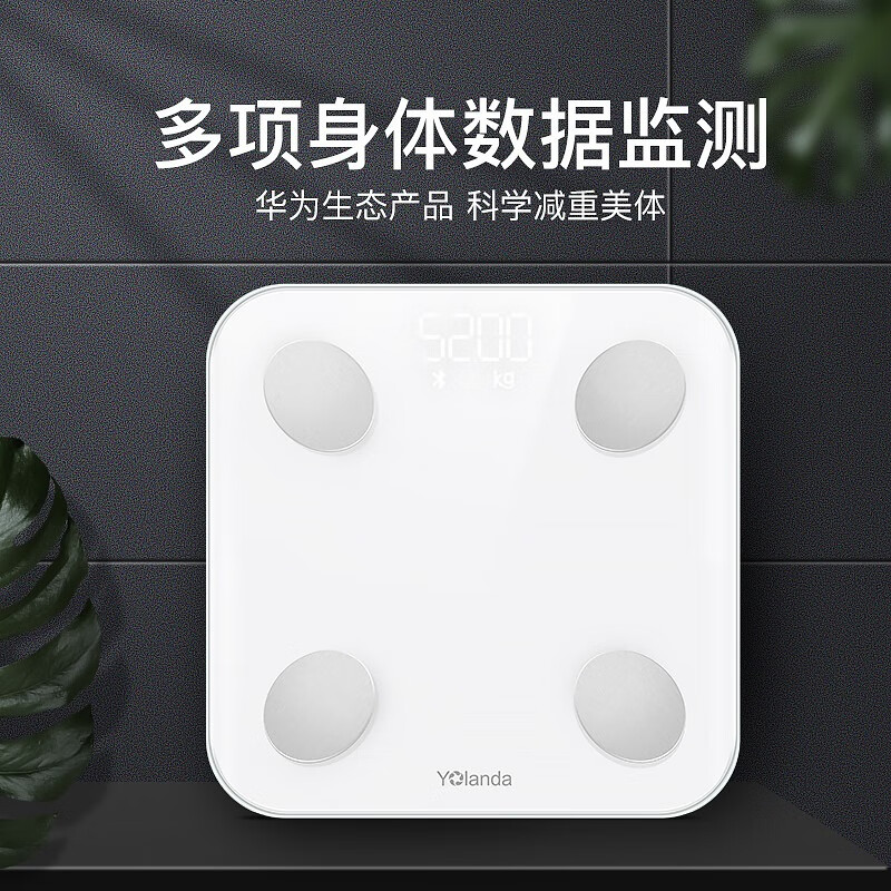 云康宝智能体脂称CS20H充电款