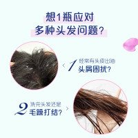 飘柔家庭日常护理兰花长效洁顺水润洗发水 双效水润洁顺型洗发露360g 新老包装随机发货