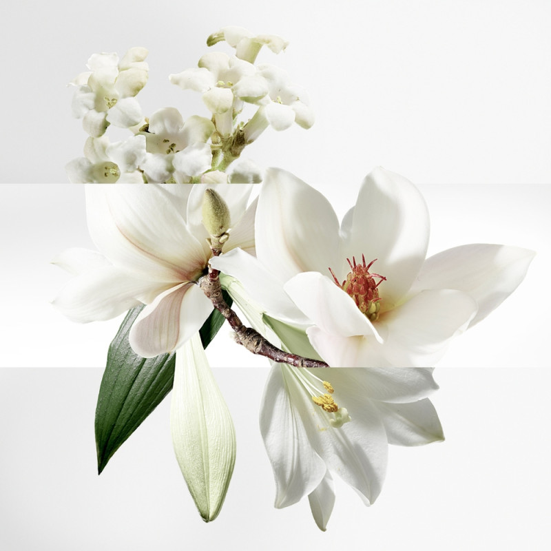Hermes爱马仕威尼斯泻湖花园中性淡香水 EDT 100ml
