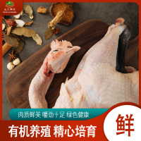 山土御品(Mountain soil Royal)散养老母鸡*1
