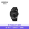 [直营]CITIZEN西铁城ECO-DRIVE SS经典复古光动能男士手表男表BM7405-19E