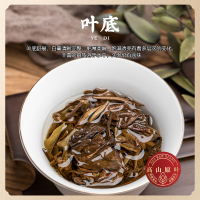 醉然香正宗福鼎白茶贡眉3年老白茶老贡眉散装茶叶礼盒250克 送手提袋