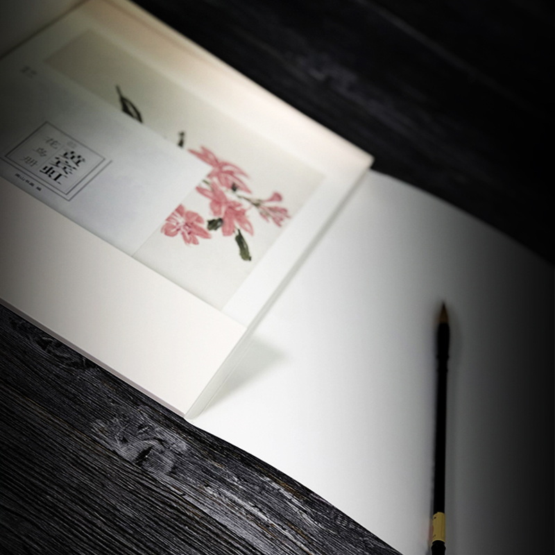 [正版]黄宾虹花鸟册南山册页丛书 南山书画历代名家册页鉴赏临摹画册 初学者临摹欣赏装饰素材中国画花鸟画技法作品集水墨绘高清大图