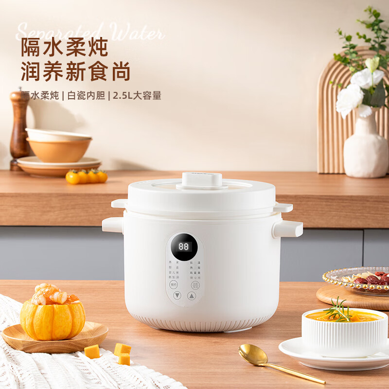 龙的(Longde)多功能电炖盅 热水快炖多功能锅2.5L炖汤盅燕窝锅养生锅宝宝辅食bb粥 LD-DG2535
