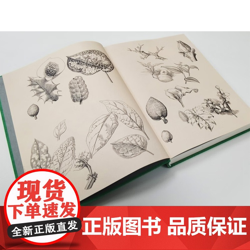 自然而然 曾孝濂自传 曾孝濂 著 科普读物高清大图