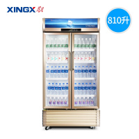 星星(XINGX)810升 双门冷藏立式商用展示柜 保鲜柜 啤酒饮料陈列柜 LSC-810WD