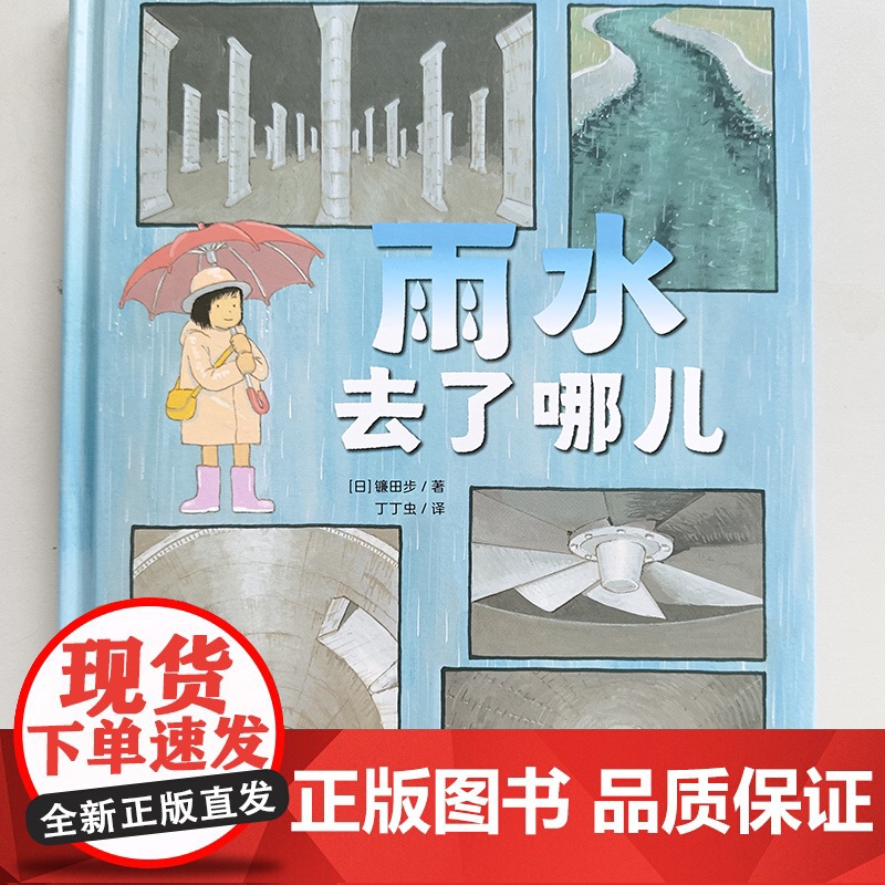 雨水去了哪儿 6-9岁儿童科普交通工具绘本让孩子充分认识作为城市基础设施的雨水管道系统画风写实故事流畅的精美绘本正版高清大图