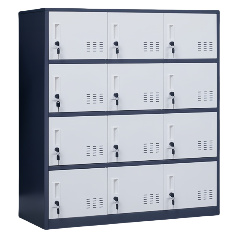 珂洋 存包柜 十二门(灰白套色) 台高清大图