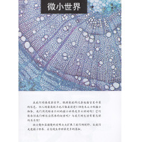六年级下册科学书教科版 小学教材课本教科书 6年级下 教育科学出版社 科学六年级 下册六下科学教科版六年级下册课本