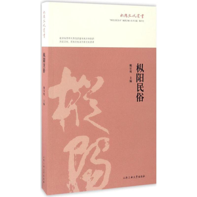 [M]枞阳民俗-9787565032653高清大图