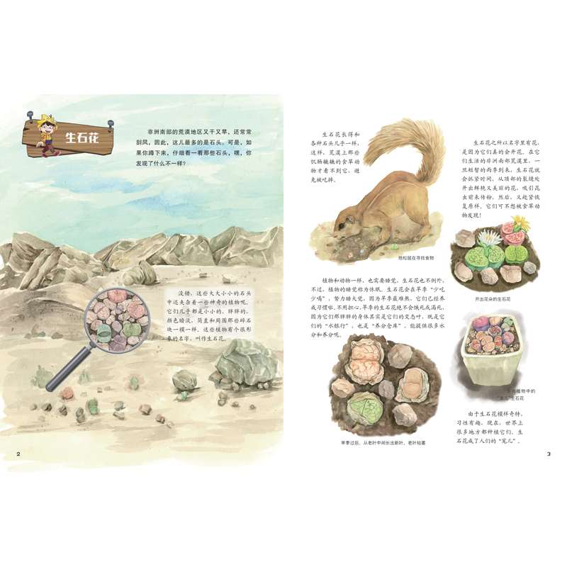 正版新书]天生伪装者临渊9787559546715高清大图