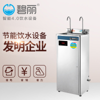 碧丽(Bili)商用饮水机W-2CX温水开水机学校办公即饮饮水机