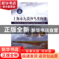 上海市九段沙鸟类图册