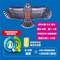 老鹰风筝雄鹰风筝儿童风筝卡通闪电客微风易飞线轮成人大人专用