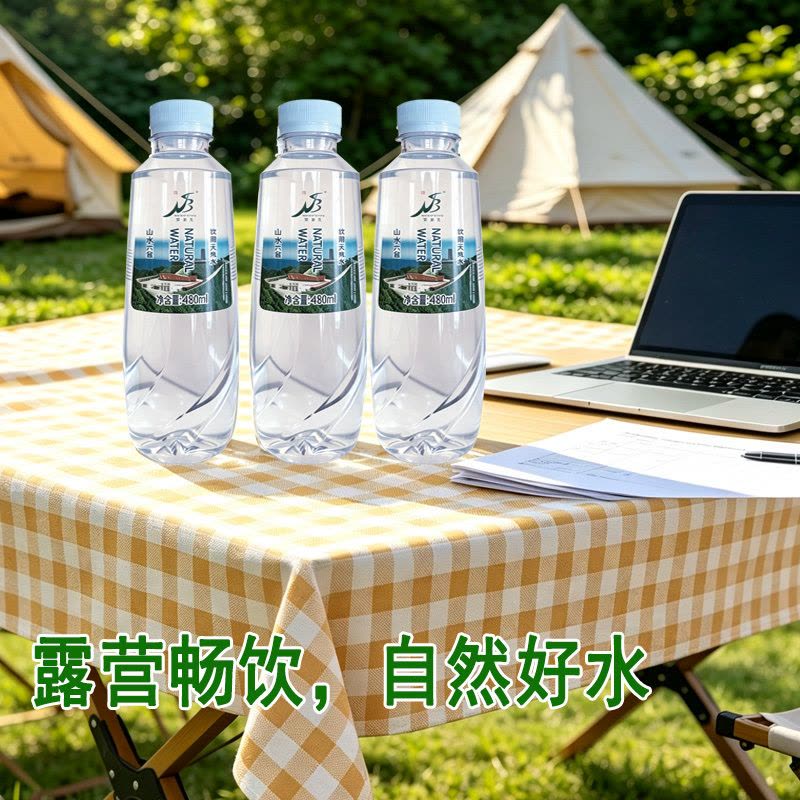 饮用天然水480ml*20瓶/箱图片