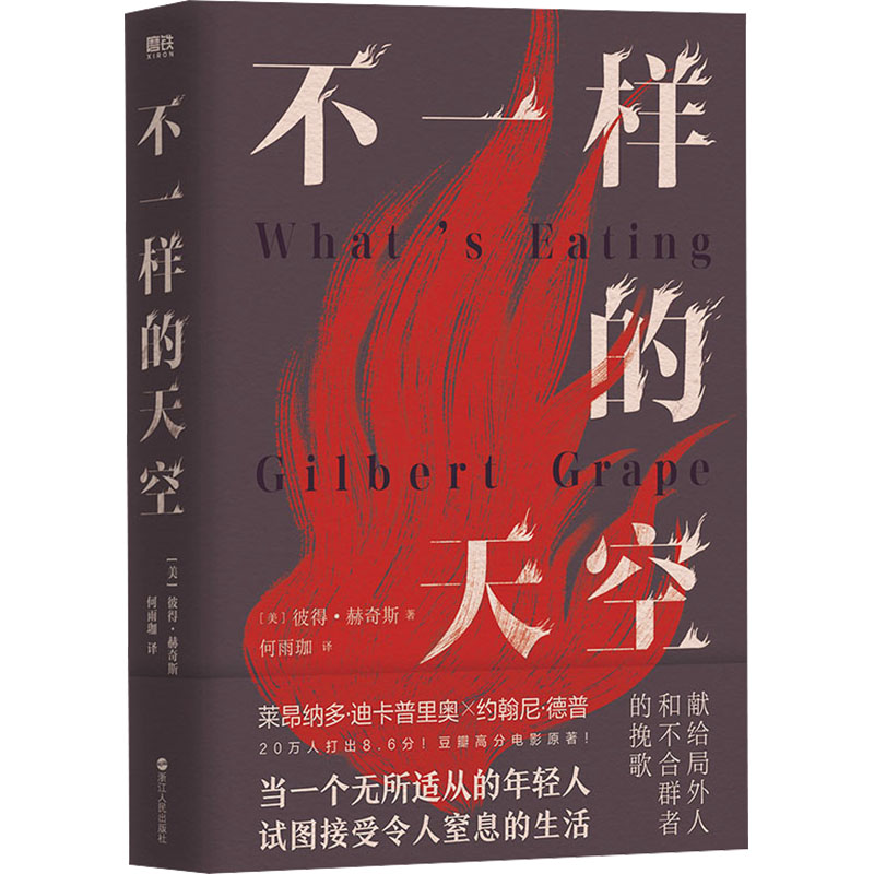 正版新书]不一样的天空(美)彼得·赫奇斯9787213113376高清大图