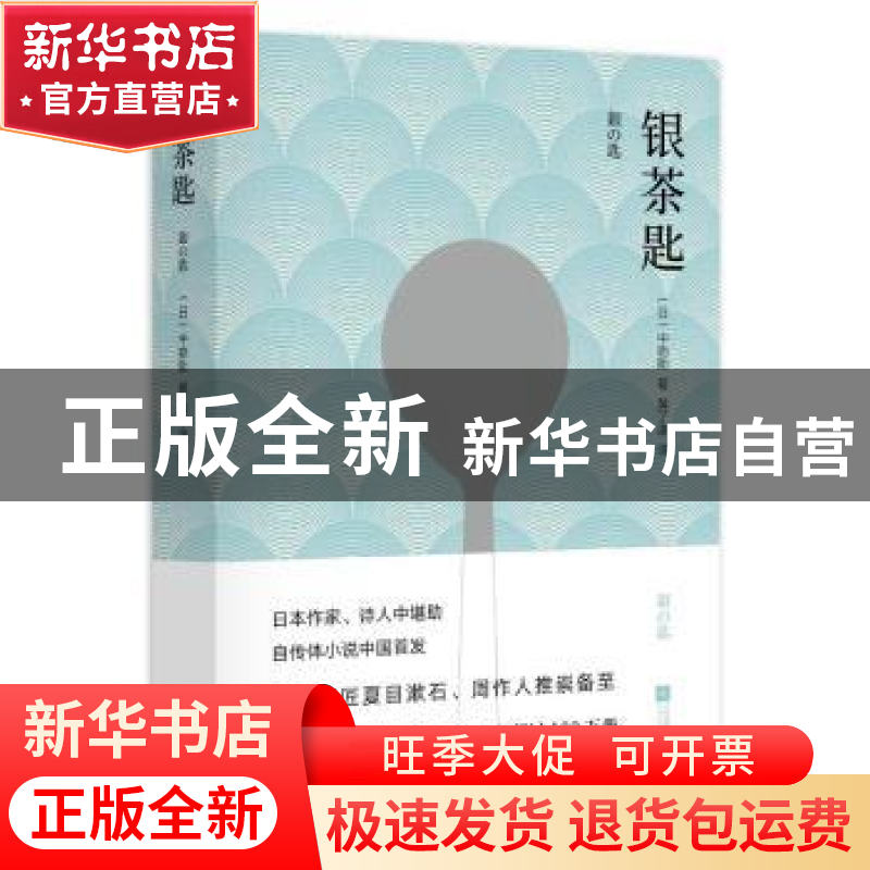 正版 银茶匙 【日】中勘助 江苏凤凰文艺出版社 9787539980966 书籍
