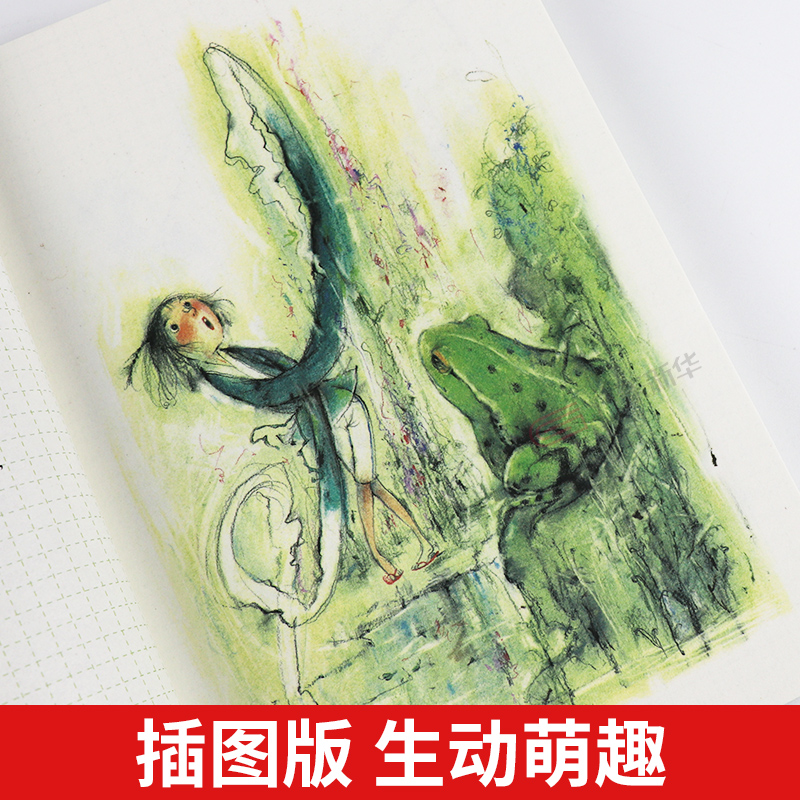 形影不离 [正版]形影不离青岛出版社薛涛稻田成长小说2023年广东朝阳读书四年级书香河南笔墨书香经典阅读小学生课外书高清大图