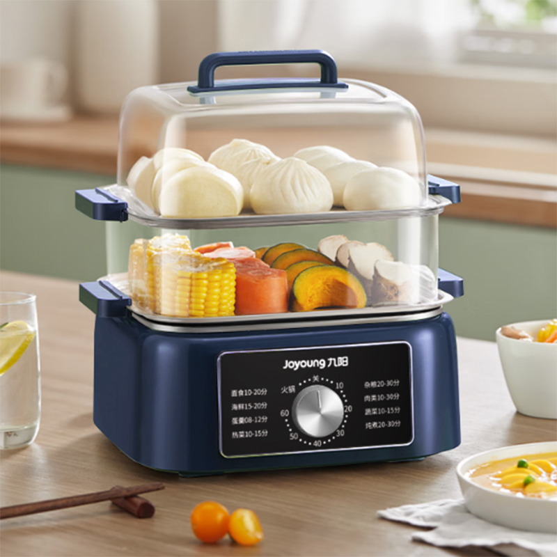 九阳电蒸锅DZ100HG-GZ666