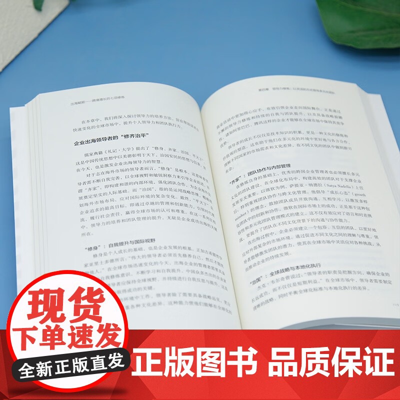 出海赋能 跨境增长的七项修炼 刘志强 著 管理高清大图