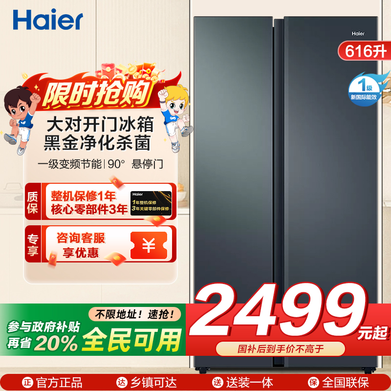 海尔(Haier)616升对开门超薄嵌入冰箱 鲸式储量 黑金净化 双变频一级能效 BCD-616WGHSSEDC9