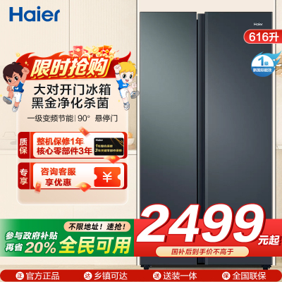 海尔冰箱BCD-616WGHSSEDC9