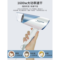 飞科吹风机家用负离子护发宿舍用学生便携式大小功率电吹风筒 抖音同款