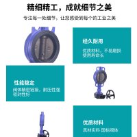 天津二通阀门双偏心对夹式蝶阀 硬密封阀门DN300 PN25 开关总阀