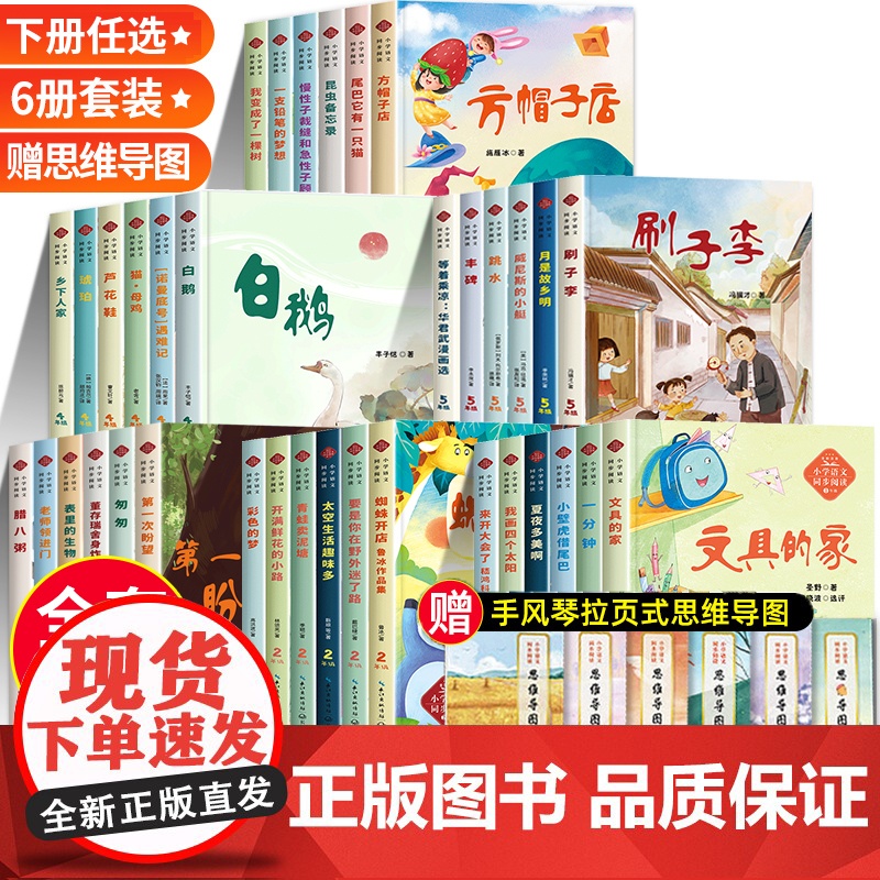 小学语文同步阅读书籍1-6年级下册必读课外书老师一二三四五六年级 昆虫备忘录慢性子裁缝急性子顾客方帽子店 文具的家 刷子高清大图