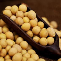 硒都恩施小粒黄豆500g/袋 非转基因黄豆老品种大豆农家自种黄豆2018新黄豆 五谷杂粮打豆浆大豆