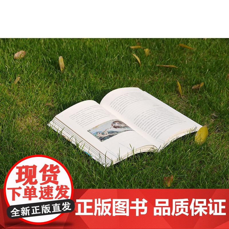 艺术美学 陈岸瑛 编 大中专 大中专文科文学艺术 大学教材 正版图书籍上海人民美术出版社高清大图