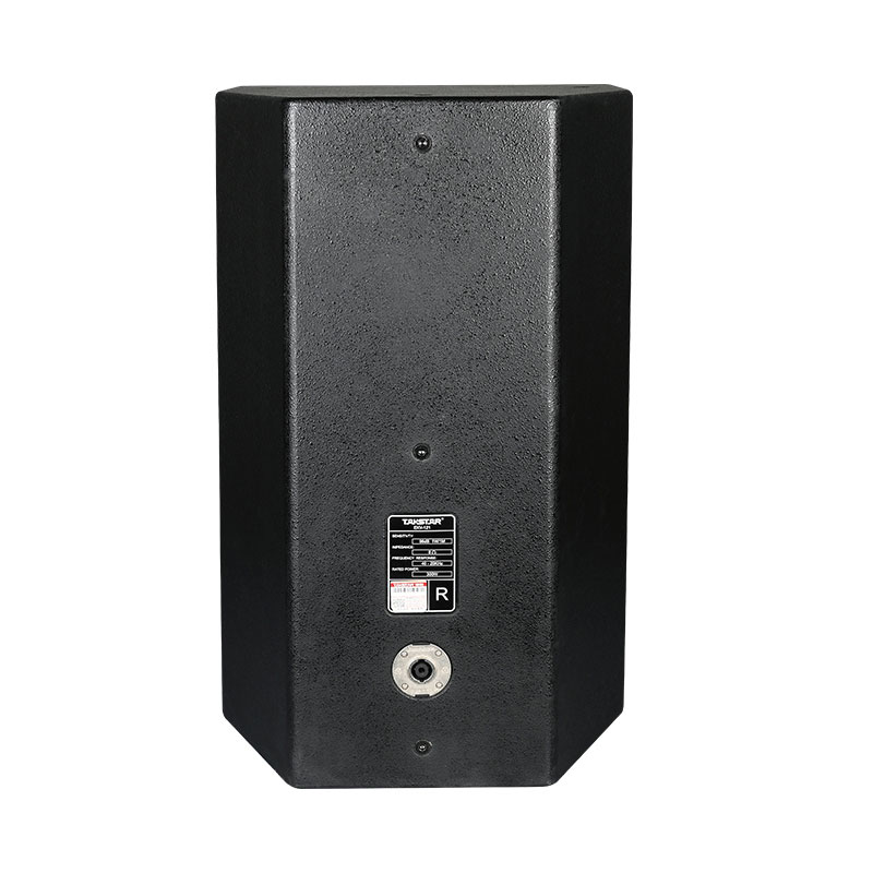 得胜 12吋专业工程音箱 EKV-121 (台)高清大图