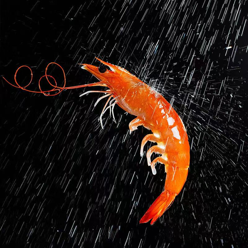 大有谷39°有机盐田虾25条(300g*5盒)高清大图