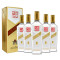 四川全兴大曲金樽52度500ml*6瓶