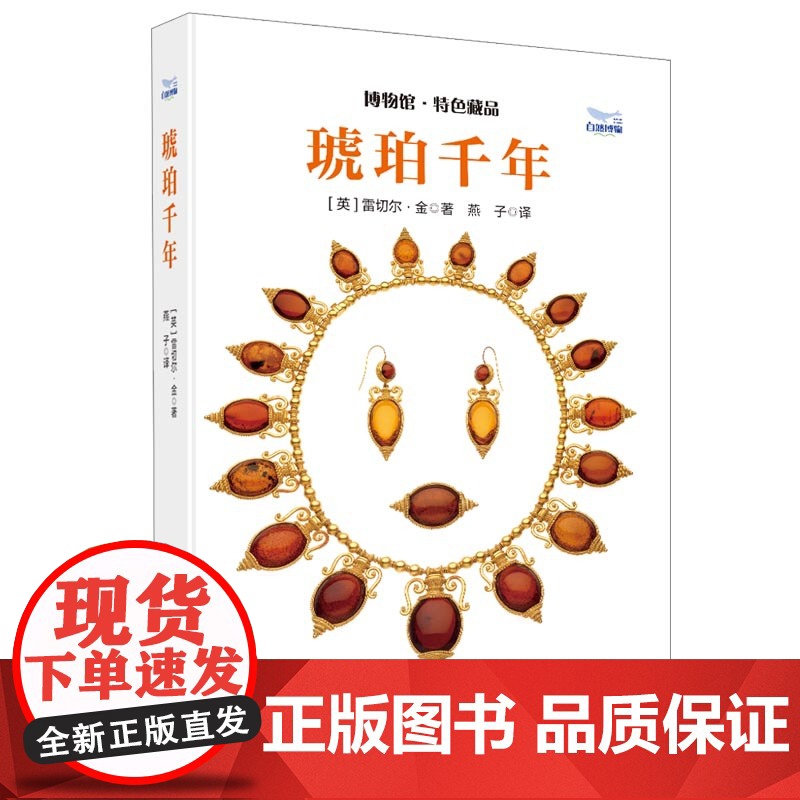 [央视网]琥珀千年 探索琥珀背后的历史文化与科学奥秘 带你领略琥珀从形成到收藏的全过程深度解析 琥珀的科学科普读物书籍高清大图
