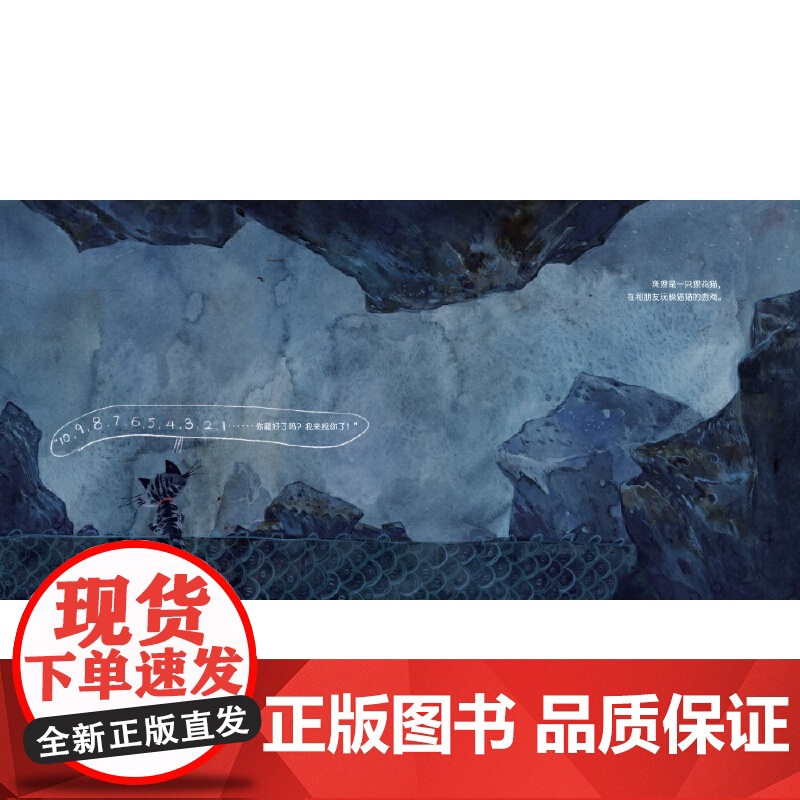 新时代中国原创儿童图画书系列:斑狸躲猫猫高清大图