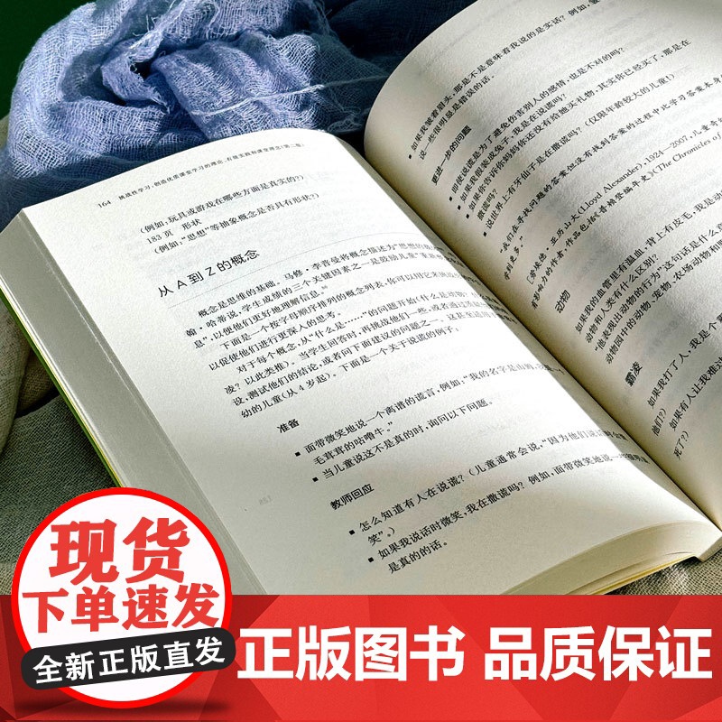 挑战性学习 创造优质课堂学习的理论 有效实践和课堂理念 第二版 学会自主学习 如何学习 有效教学策略 华东师范大学出版高清大图
