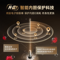 史密斯80升电热水器 国家补贴 专利免更换镁棒 金圭内胆 速热节能 CEWH-80ED3 一级能效