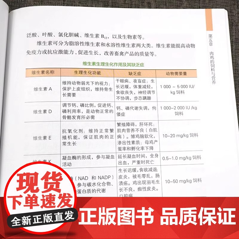笼养肉鸡40天 畜禽规范养殖丛书养鸡大全鸡病防治及安全用药鸡病快速诊断防治技术鸡养殖书籍鸡养殖教程大全蛋鸡肉鸡高效养殖配高清大图