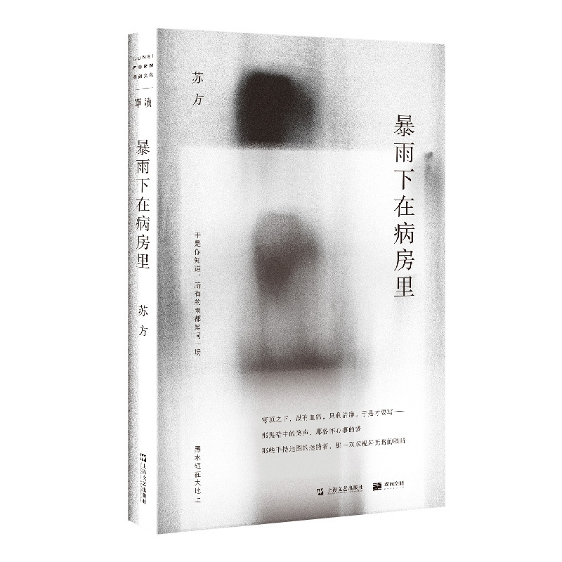 [正版] 暴雨下在病房里 苏方短篇小说集 11篇小说人生百态社会与人的故事 现当代文学书籍 另著一些时刻 异乡记 上
