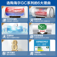 Haier/海尔50升电热水器EC5001-GC 1级能效 健康抑菌 安全防电墙 安心浴 双管速热 预约洗浴