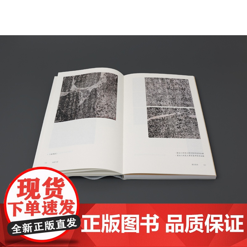 南朝气韵:六朝石刻碑帖讲演录 展现六朝石刻珍稀拓本,详解背后的文学、史学与考古学研究 凤凰出版社店 正版高清大图