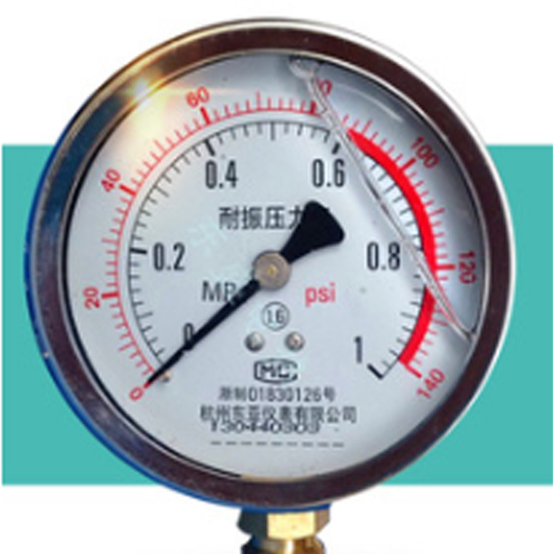 企购优品 杭州东亚 耐震压力表YN 0-100MPa 油压水压表Φ100径向(单位:个)