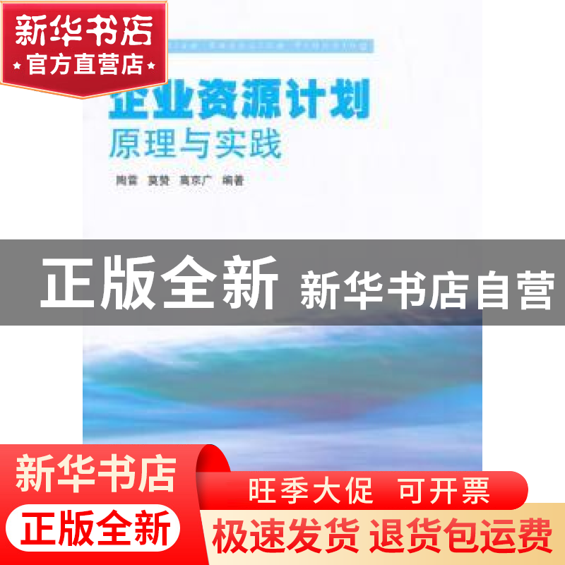 正版 企业资源计划原理与实践 陶雷,莫赞,高京广编著 清华大学高清大图