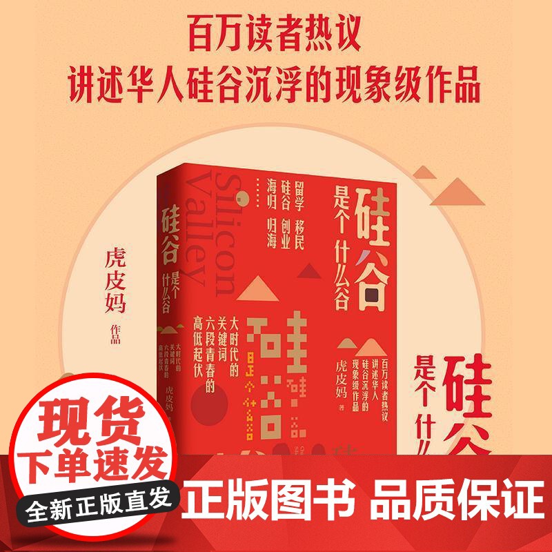 硅谷是个什么谷 虎皮妈 长篇小说中国当代 小说书籍正版高清大图