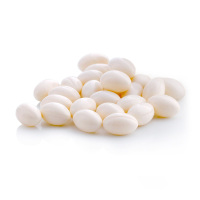 世健 褪黑素软胶囊 0.3gx60粒/瓶 营养保健食品（蓝帽认证 工厂直营）