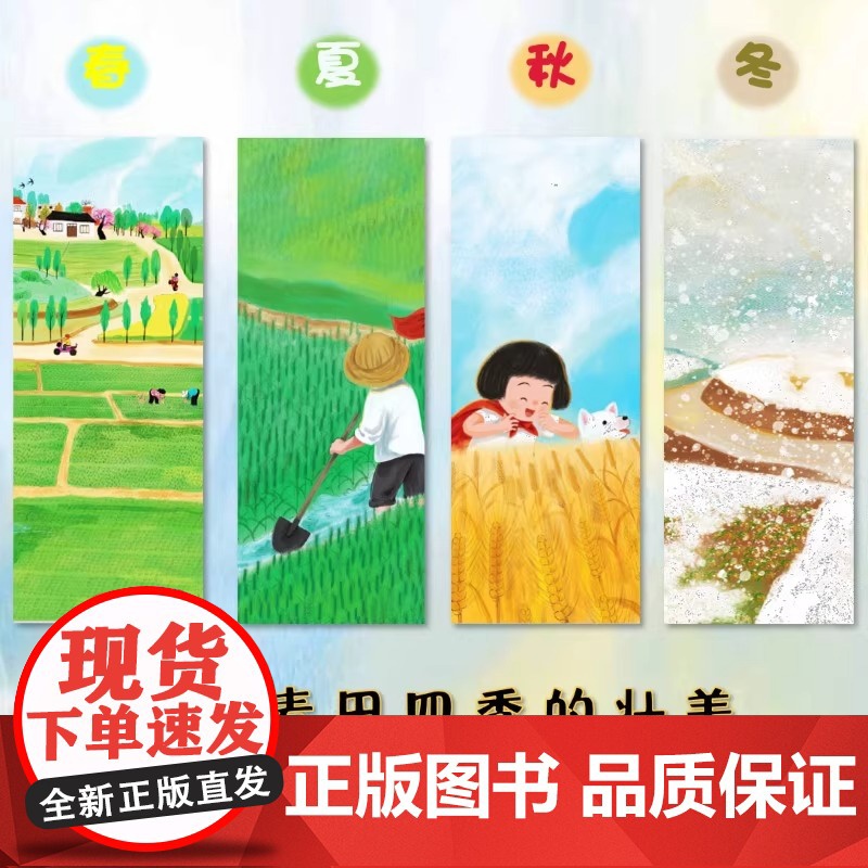 小麦开花了 童书绘本 精装图画书 中国原创 了解小麦的生长过程,体味农耕文化的智慧,学会感恩自然的馈赠 棉花的旅程高清大图