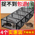 老鼠贴强力粘鼠板捕鼠神器家用鼠笼老鼠特效药扑捉器抓大老鼠夹子2